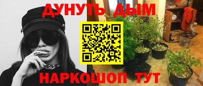 МДПВ Можайск